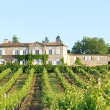 Chateau Lestange, 坎萨克 — 照片 4