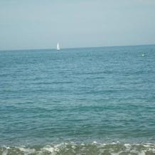 Entre Vert et Bleu, Saint-Martin-aux-Buneaux — photo 3