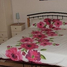 Drumlin Lane Self Catering, Хиллсборо — фото 4