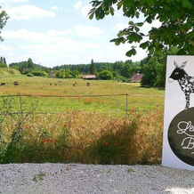 Chambre d'hôtes Tournemire, 安德尔河畔尚堡 — 照片 5