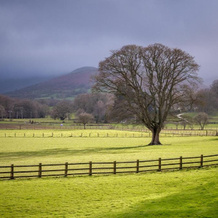 The Lodge Brecon B&B, Llanfrynach — photo 2