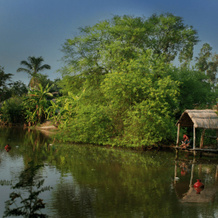The Riverwood Forest Retreat- Dooars, 南杜普乔拉 — 照片 3