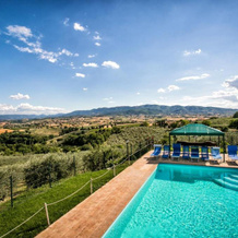 Agriturismo La Rosa Montefalco, 蒙特法尔科 — 照片 3