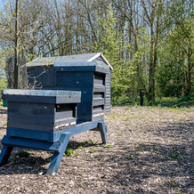 Honeysuckle Farm Hut 6 - Suffolk Farm Holidays, Бедфилд — фото 4