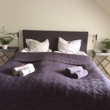 Edelsminde Bed and Breakfast, 哈斯莱乌 — 照片 3