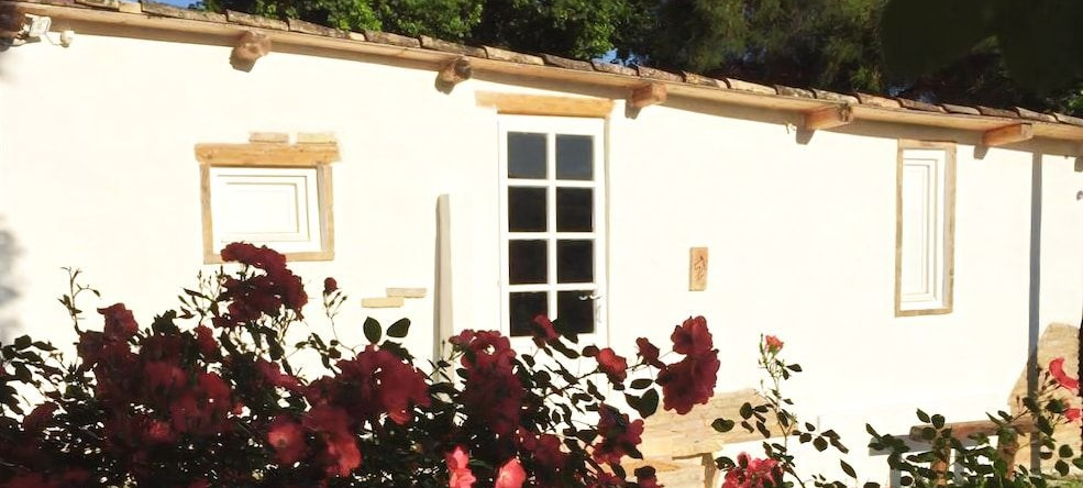 Il Noceto B&B, 里佩 — 照片 1
