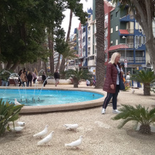 Alameda, Benidorm — photo 3