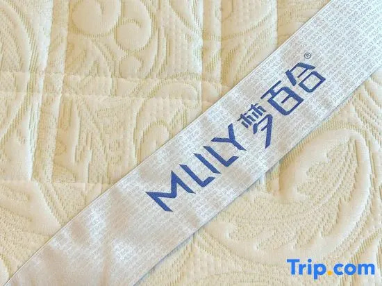 Hengshui Jinjiang Metropolo Hotel, 衡水 — 照片 1
