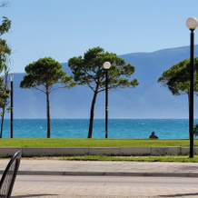 Haris, Vlore — photo 4