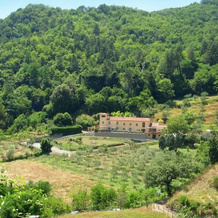 Agriturismo Podere Borsano, 韦尔尼奥 — 照片 3