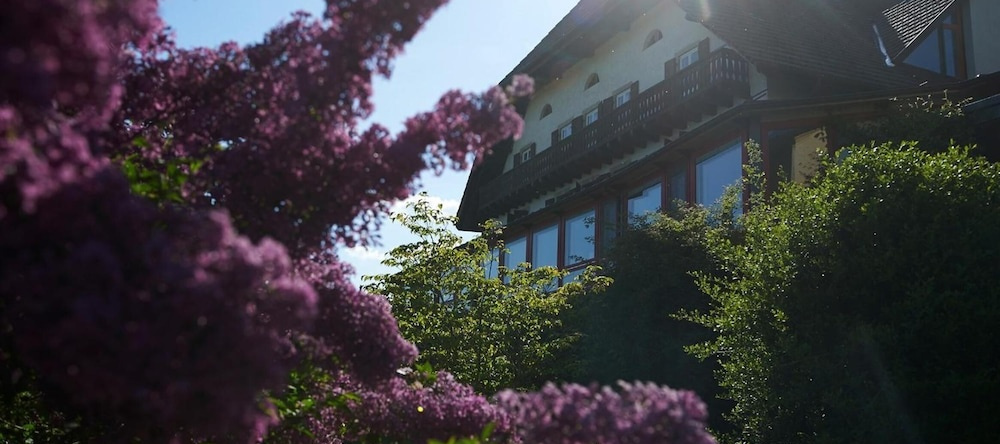 EcoHotel L'Aubier, 蒙特济永 — 照片 1