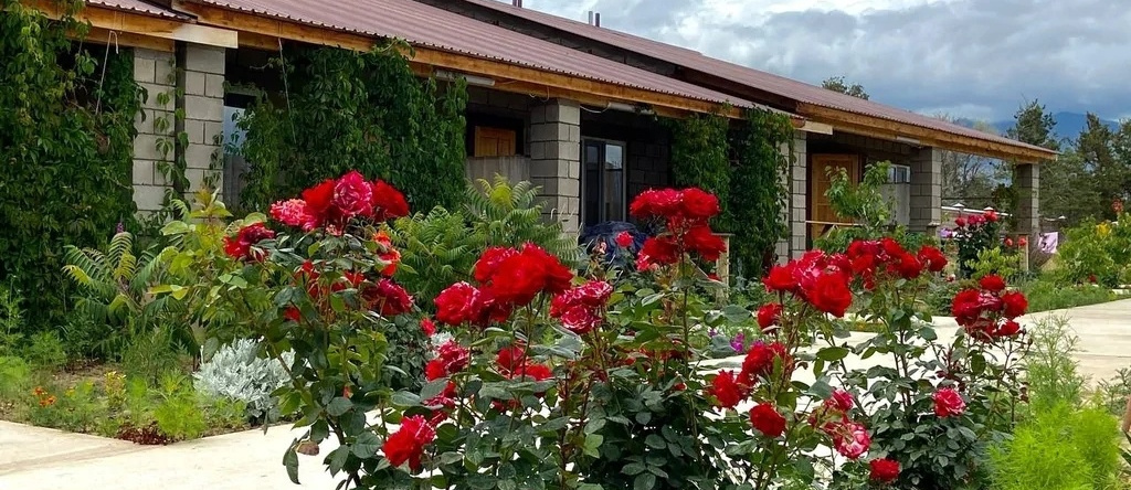 Abricos Guest House, Kara-Oy — photo 1