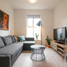 Burton House Boutique Flat, Manchester — photo 4