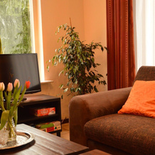 Cozy Holiday Home With Private Garden in Valkenswaard, 瓦尔肯斯瓦德 — 照片 4