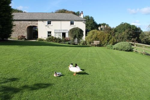Rectory Farm, Уолвинс Касл — фото 1