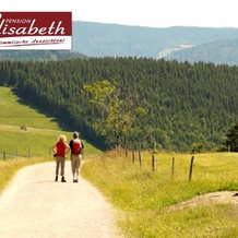 Pension Elisabeth, 托特瑙 — 照片 3