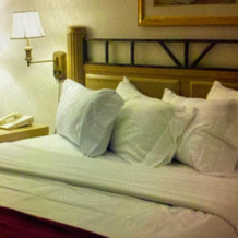Jasmine Garden Inn, Лейк-Сити — фото 2