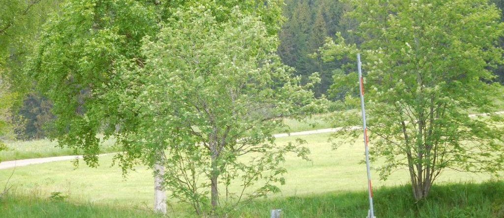 Ferienhaus Grafenhausen, 格拉芬豪森 — 照片 1