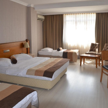 Talia Hotel Sapanca, 萨卡里亚 — 照片 3