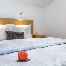 Apartmenthaus Maximilian, 大韦内迪格山麓诺伊基兴 — 照片 2