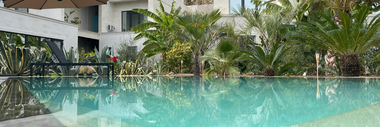 Little Palm Hotel, 奥尔金卡 — 照片 1