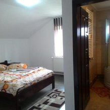 Cabana Georgiana, Ариесени — фото 2