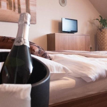 Cartellone Appartamento Hotel, 帕尔杜比采 — 照片 5