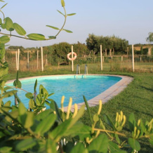 Granja Escola La Perdiu - Hostel, Кабанес — 照片 4
