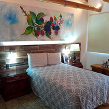 Hotel Frutos del Bosque, 萨卡特兰 — 照片 3