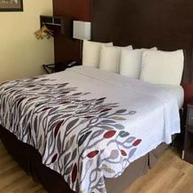 Red Roof Inn Clearfield, 菲利普斯堡 — 照片 5