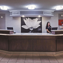La Quinta Inn By Wyndham And Conference Center San Angelo, Сан-Анджело — фото 2