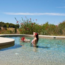 Vineyard Villa, Porto Heli — photo 3