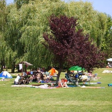 Csokonyavisontai Napsugár Vendégház, Kutas — photo 4