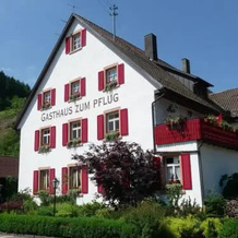 Gasthof zum Pflug, 沃尔法赫 — 照片 3