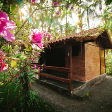 Pousada Graciosa, 莫雷特斯 — 照片 4