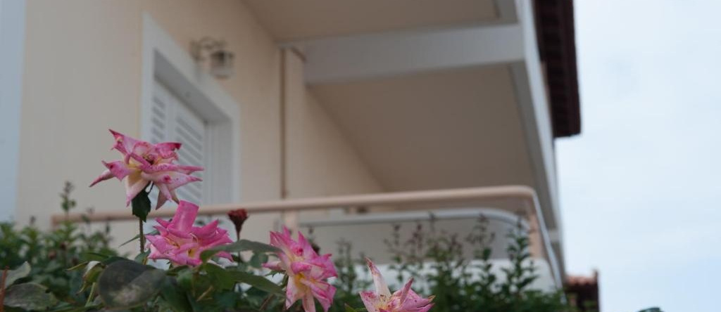 Agios Sostis, Трифилия — фото 1