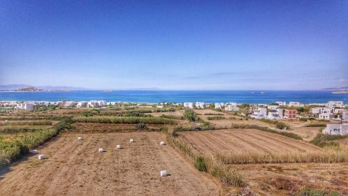 Amfitriti's Apartment, Plaka — photo 1