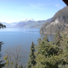 Paradieshotel Rotschuo, Gersau — photo 3