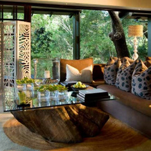Andbeyond Phinda Forest Lodge, Заповедник Пинда — фото 2