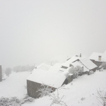 La Coberta-Lo Paller del Coc, Rialp — photo 5