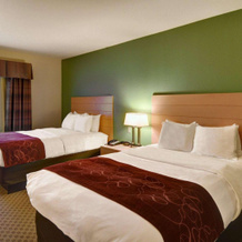Comfort Suites Lindale - Tyler North, Линдейл — фото 4