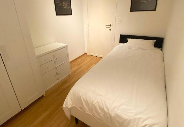 Cosy and Fully Equipped Apartment near Antwerp, 安特卫普 — 照片 1