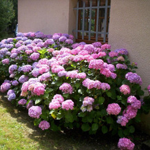 Maison de Vacances MACOU 2, Capdrot — photo 3