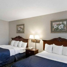 Comfort Inn Marlborough, Marlborough — photo 3