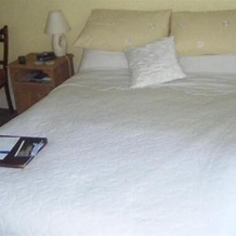 Newlands Hall Farmouse B&B, 毕晓普奥克兰 — 照片 2