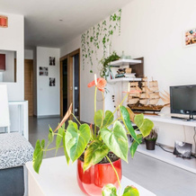 Boiro 101386 2 Bedroom Holiday home By Mo Rentals, 博伊罗 — 照片 2