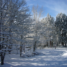 Vallicciola Nature Hotel, Tempio Pausania — photo 4