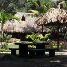 Tayrona Paradise, El Trompito — photo 2