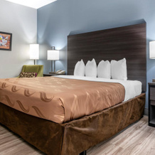 Quality Inn & Suites Demopolis, Демополис — фото 3