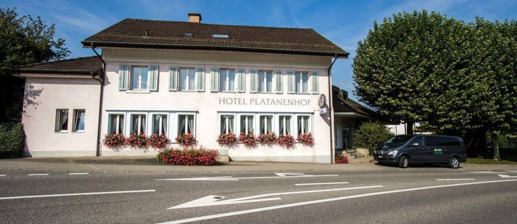 Hotel Platanenhof, 弗里克 — 照片 1
